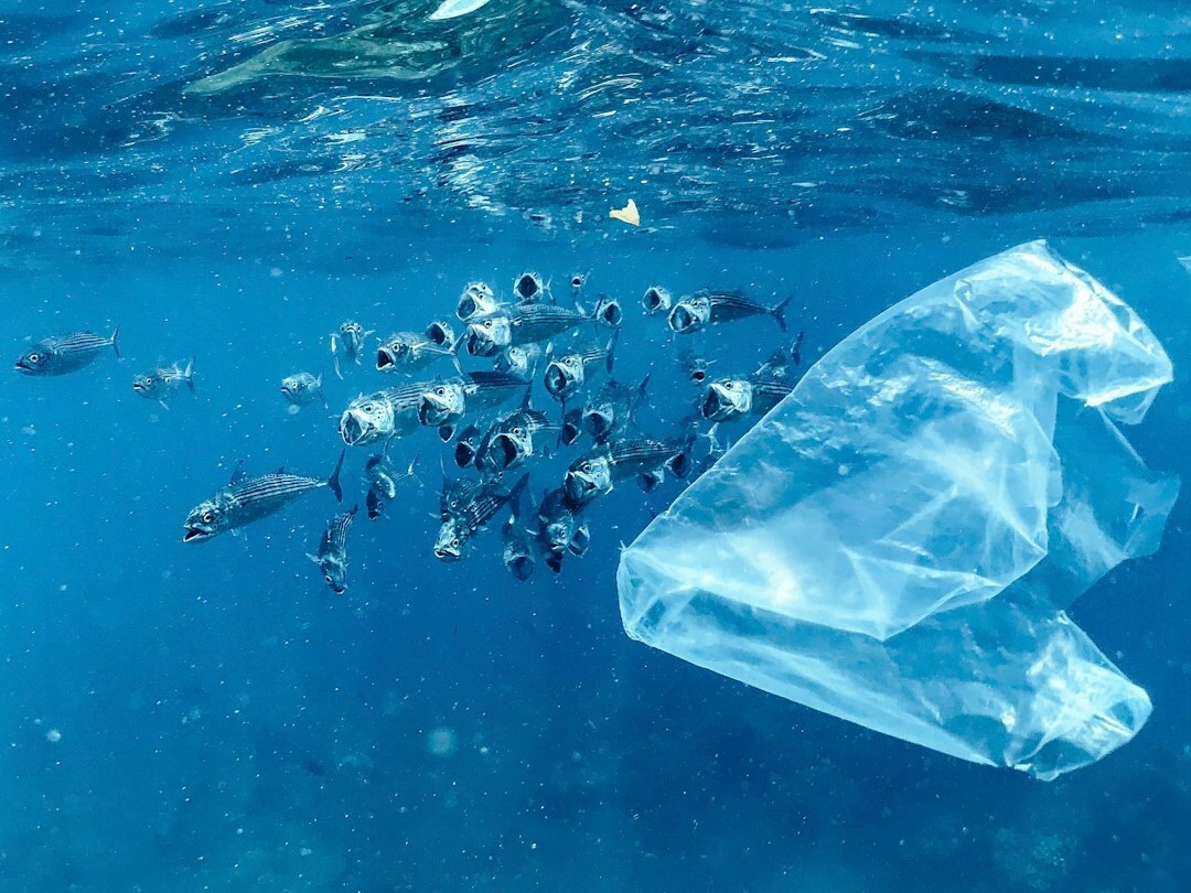 ocean pollution